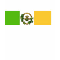 Irish Flag t-shirts