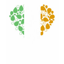 Irish Heart Shirt