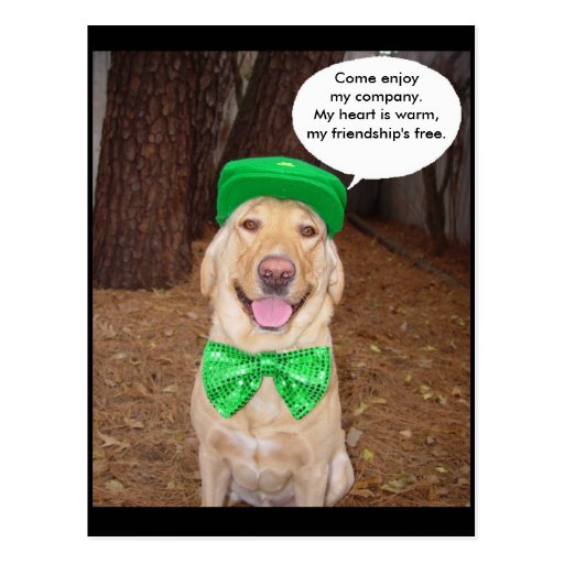 irish_lab_saying_post_card-re985f22969f04121b74b70d9d098212f_vgbaq_8byvr_512.jpg