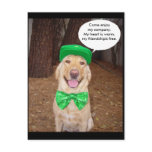 Irish Lab Saying Post Card