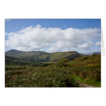 Irish Landscape cards