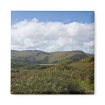 Irish Landscape magnets
