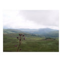 Irish landscape posters