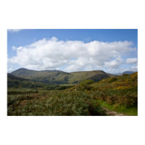 Irish Landscape posters