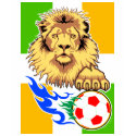 Irish or Côte d'Ivoire Soccer Lion Singlet t-shirts by rustyoldtown Irish or Côte d'Ivoire Soccer Lion Singlet t-shirts