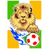 Irish or Côte d'Ivoire Soccer Lion T-Shirt by rustyoldtown Irish or Côte d'Ivoire Soccer Lion T-Shirt