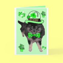 Irish Pomeranian cards