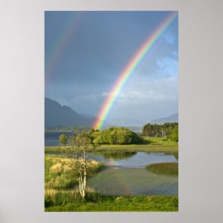 Irish Rainbow Poster