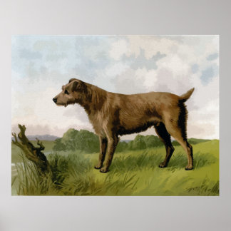 Irish Terrier Art & Framed Artwork | Zazzle