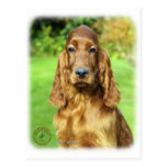 Irish Setter 9T004D-312 Post Cards