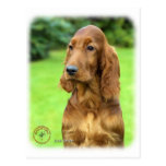 Irish Setter 9T004D-349 Post Cards