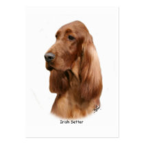 Irish Setter 9Y177D-97 Business Card Templates