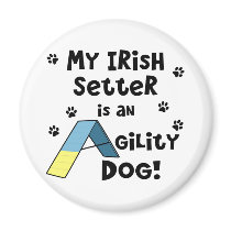 Irish Setter Agility Dog magnets by MenagerieMayhem Irish Setter Agility Dog magnets