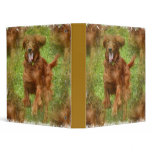 Irish Setter Dog Binder