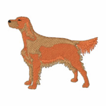 Irish Setter