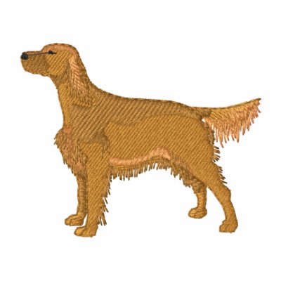 Irish Setter Polo Irish Setter Polo