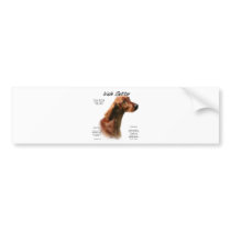 Irish Setter History Design Bumper Stickers