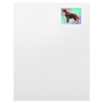 Irish Setter Letterhead