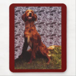 Irish Setter & Patterned Concrete Wall Mousepad mousepads
