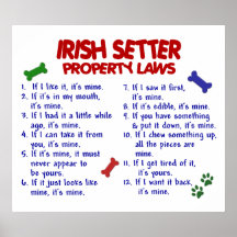 IRISH SETTER PL2 POSTERS