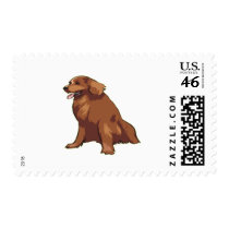 Irish  Setter postage