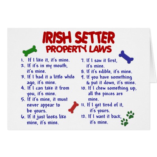 IRISH SETTER Property Laws 2 Card Zazzle
