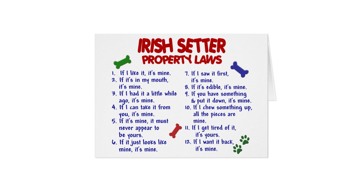 IRISH SETTER Property Laws 2 Card Zazzle