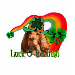 Irish Setter St. Patricks t-shirts