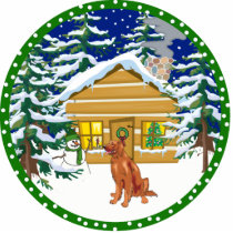 irish setter winter photo sculptures