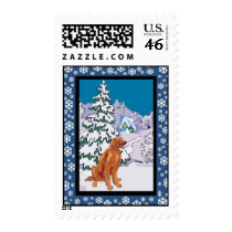 Irish setter winter postage