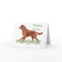 Irish Settter Sympathy card