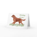 Irish Settter Sympathy card