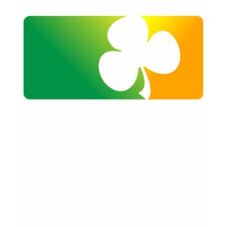 Irish Shamrock Flag Green Ladies Petite shirt