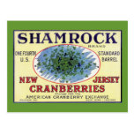 Irish Shamrock New Jersey Cranberry Post Cards