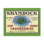 Irish Shamrock New Jersey Cranberry Post Cards
