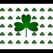 IRISH SHAMROCKS t-shirts