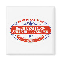 Irish Staffordshire Bull Terrier  magnets
