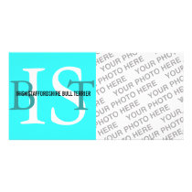 Irish Staffordshire Bull Terrier Monogram Custom Photo Card