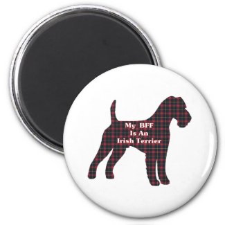 Irish-Terrier BFF Geschenke magnet