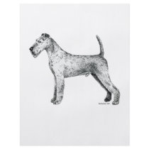 Irish Terrier flyers