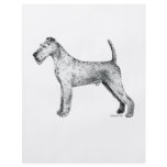 Irish Terrier flyers