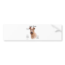 Irish Terrier History Design Bumper Sticker