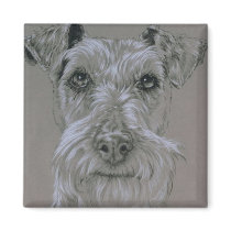 Irish Terrier magnets