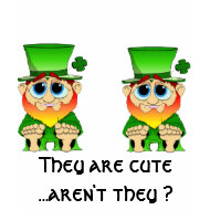 Irish Twins shirt