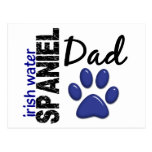 Irish Water Spaniel Dad 2 Postcard