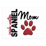 Irish Water Spaniel Mom 2 Post Cards