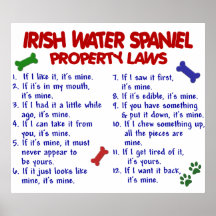 IRISH WATER SPANIEL PL2 POSTERS