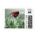 Irish Wedding Invitation Love Postage Stamps