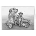 Irish Wolfhound Dogs Drawing by Kelli Swan cards