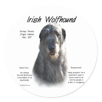 Grey Wolf Hound